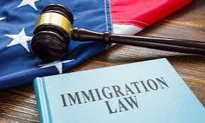 Appeals & Representations
