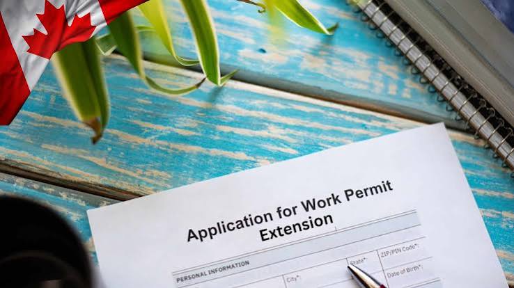 LMIA Applications